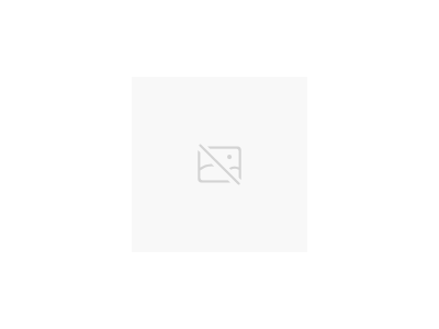 美國力高RegO 1588VN/MN-1″液化氣調(diào)壓器